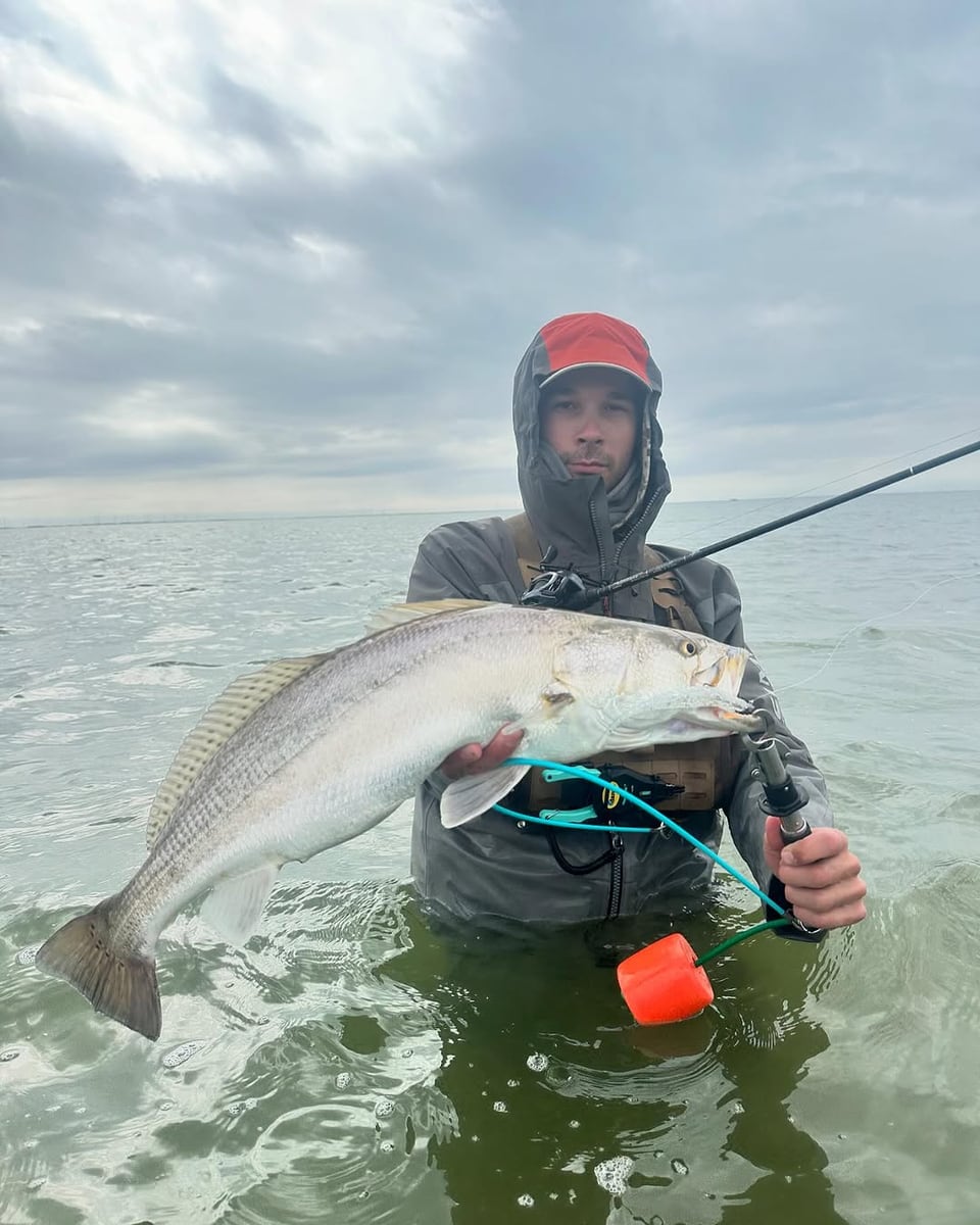 Wade fishing angler holding a bull redfish on an overcast day