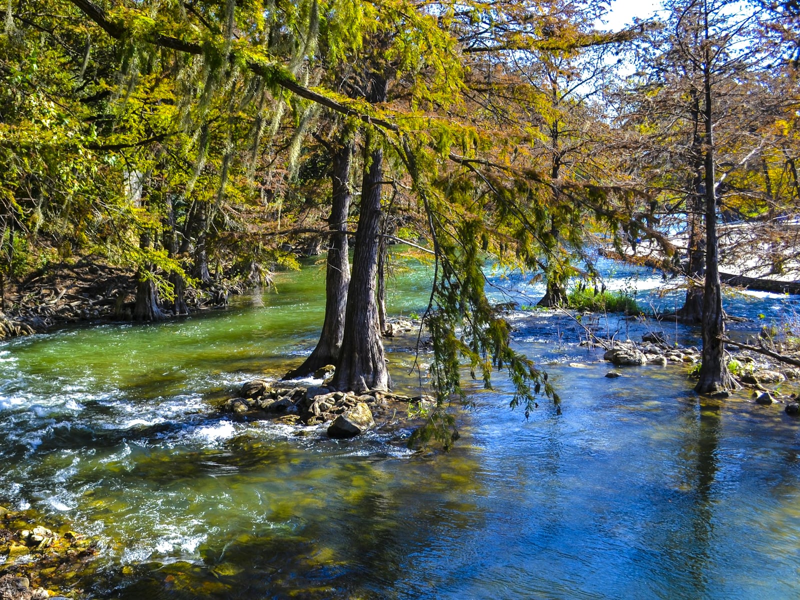Clear, spring-fed Hill Country river lined with cypress trees near New Braunfels, Texas